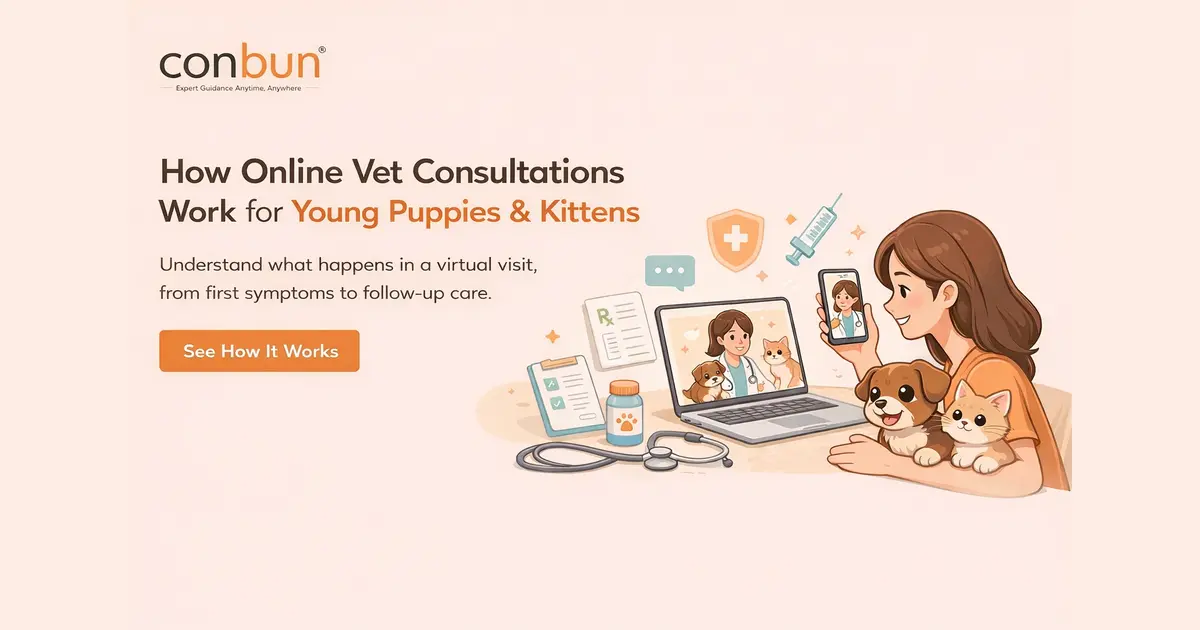 Online Vet Consultation for Puppies & Kittens in India | 24/7 Vet Advice